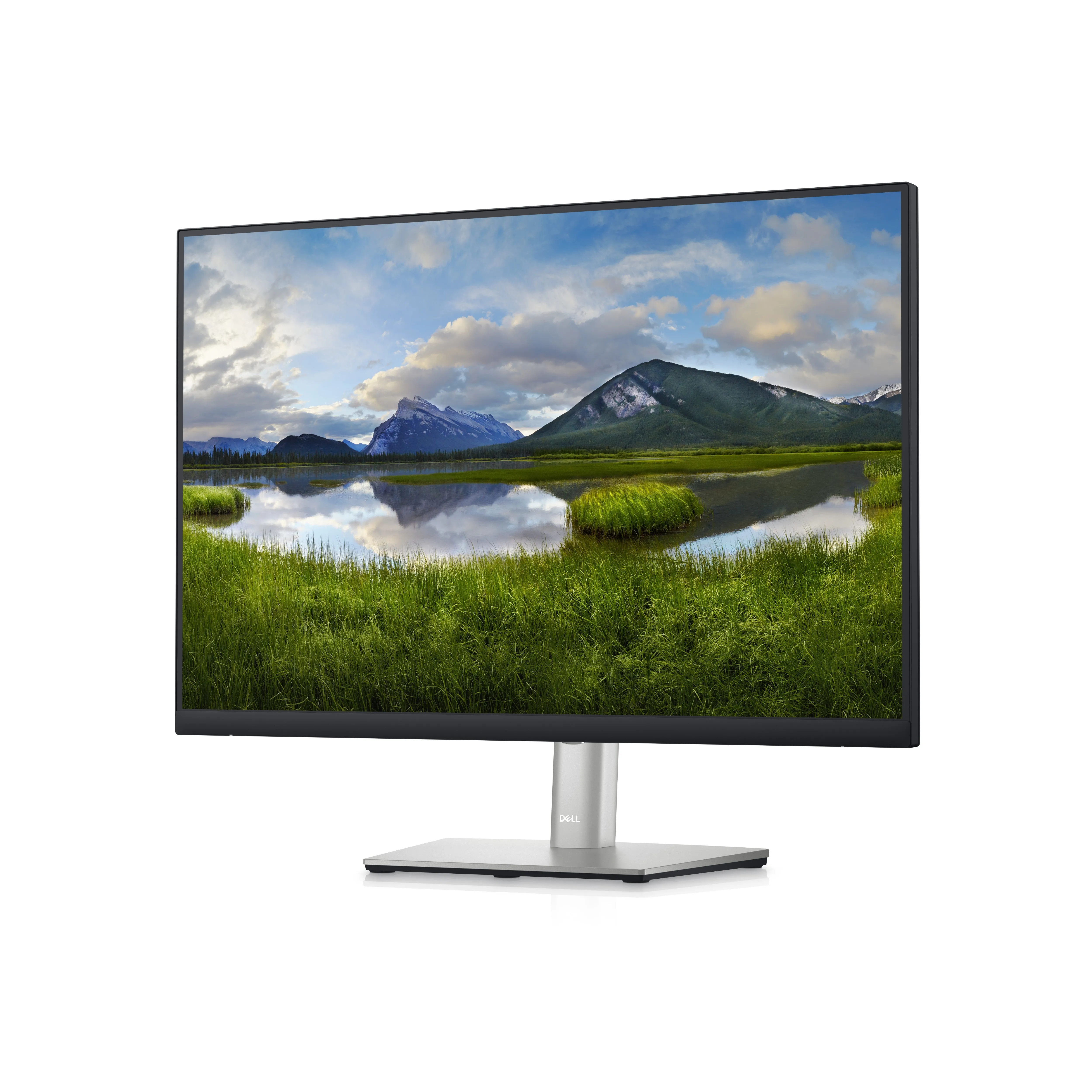 Dell P2423 24In Monitor