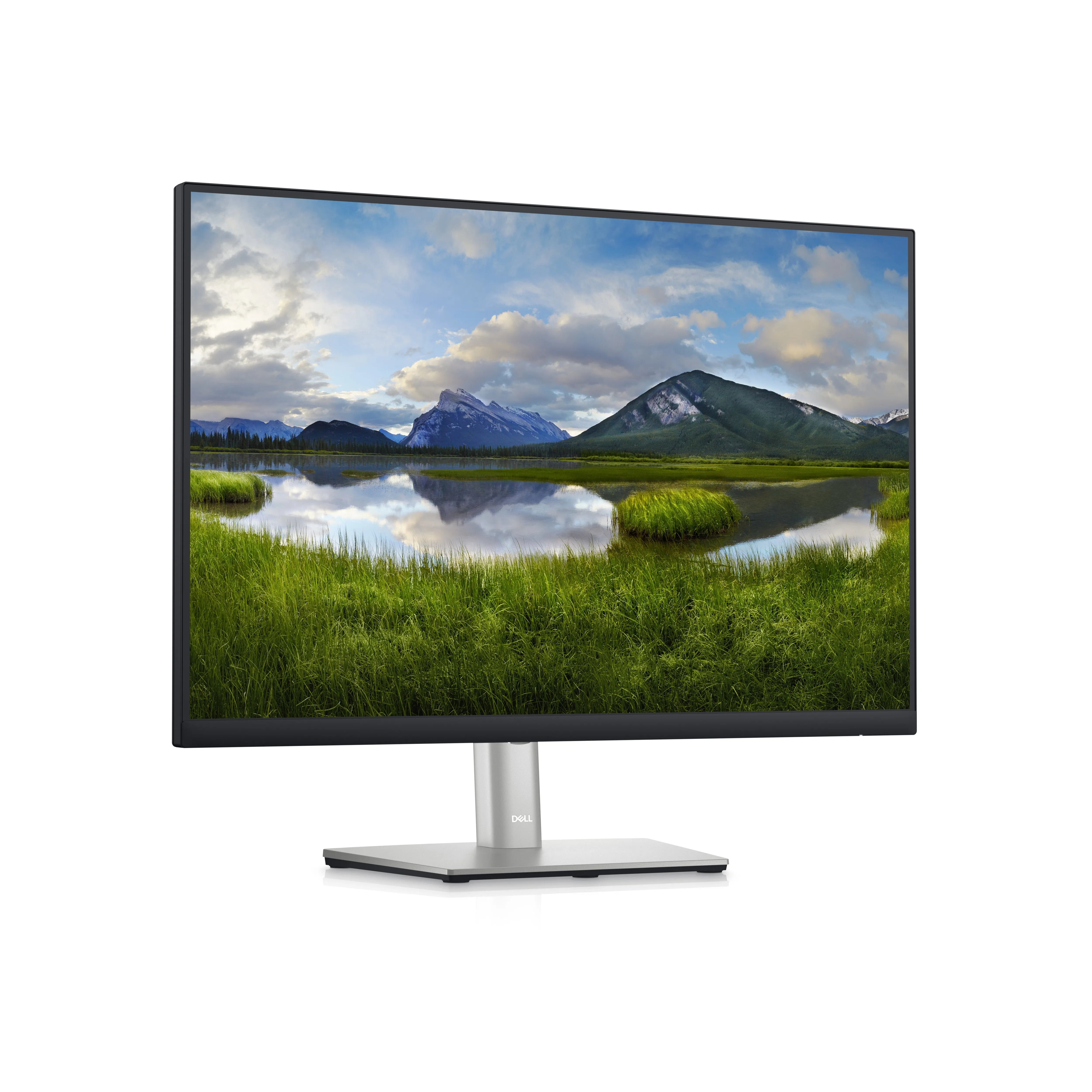 Dell P2423 24In Monitor