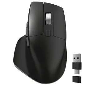 Delton S18 2.4G Ergonomic Wireless Mouse